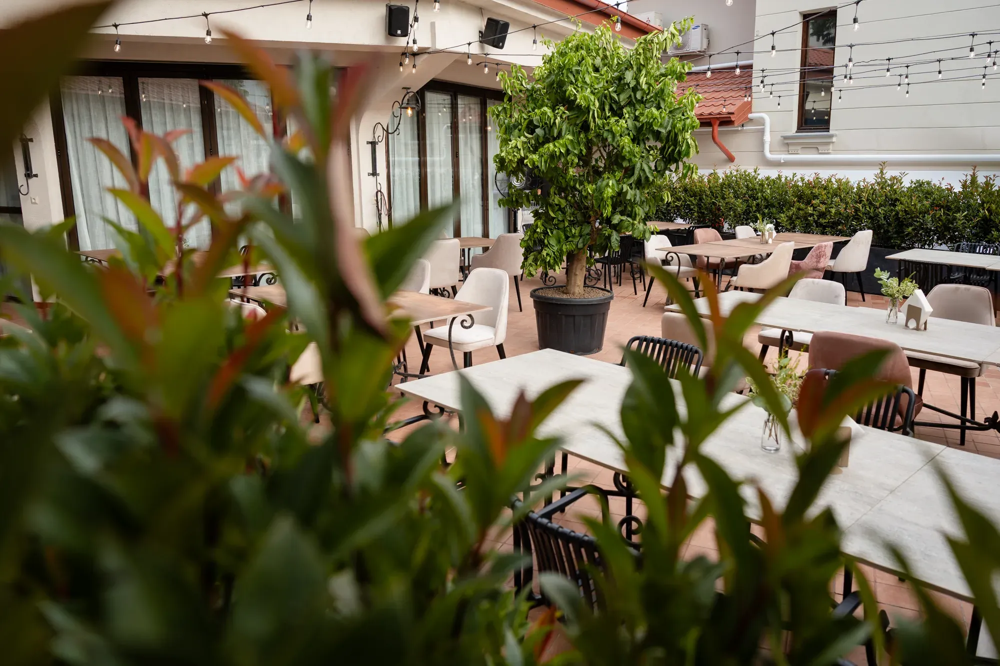 LA BULEVARD — Detaliu interior